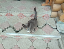 20220430 ������-200 ���������� 114919.jpg