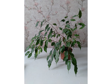 ����� ���������� 2. ���� 180�.