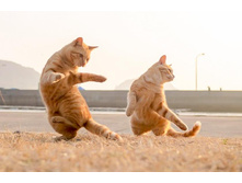 ��-����-����!