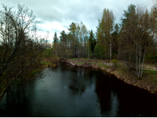 20220514 ������ 400 ���������� 160925.jpg