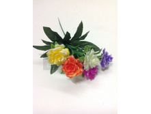 20 ���./��. 1948 ����� ��� ������������, �������, 5 �