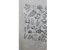 Photo 2022-05-17 12-47-30.jpg