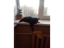 ��� �� ��� ��� �������!