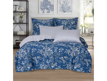 ����� ����� 220 �� ������+���������