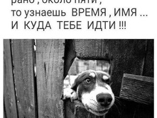 ���� � ������ ����������� ���� .... ����� ����, �� ������� �����, ��� .... � ���� ���� ����!