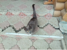 20220430 ������-200 ���������� 114914.jpg