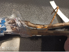 ��������� ����.jpg