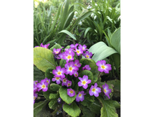 ��������� ������.