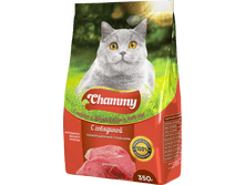 ���� �������.��������� ����� ��� �������� ��������. ������� �����