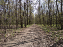 20220508 �������� � ����������� �� ������ 1325.jpg