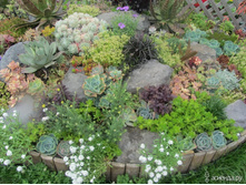 ������ ������������� �������