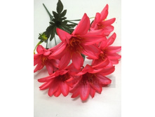 79.00 ���./��. 2433 ����� ���������, 6 �