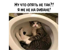 ��� ����� �� ���? � �� �� �� ������!