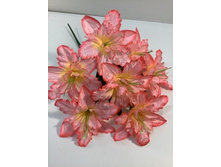 79.00 ���./��. 3101 ����� �������, 7 �