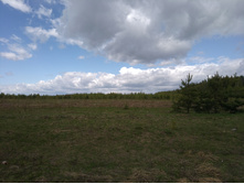 20220514 ������ 400 ���������� 113453.jpg