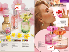 Cat 2022 07 NOprice41.png