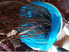 IMG 20220507 084445.jpg