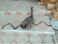 20220430 ������-200 ���������� 114921.jpg