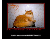 � �� �������� ����� �����! �������, ���� ������� ��������� ����!