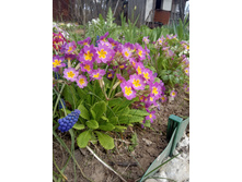 IMG 20220507 124704.jpg