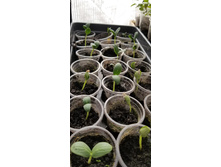 EFleZlQmzNDuXCrKlOy3r3mAlsl XT3IMMq2jpkLuU1vUE0-MqDv9hkhdVdfDBM8hTl w-p7WdegCVuBVCjHBTCa.jpg