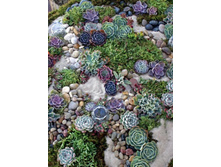 ������ ������������� �������