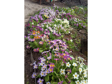 ������ �� ������