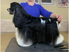 ���� �� ����� � �������(������� ���� �� �� ����)