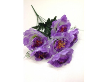 79.00 ���./��. 1519 ����� ������, 6 �