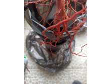 ����������� ������.jpg