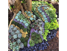 ������ ������������� �������