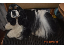 ������� ���� �� ��� ����