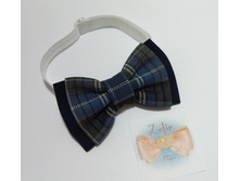 ������� ��� ��������� ������