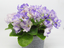 ��-������ �����.jpg