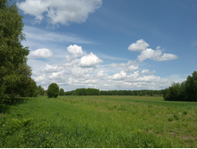 20220605 �������� � ����������� 121606.jpg