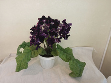 ������� ���.jpg