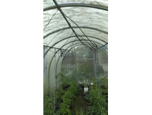 IMG 20220617 194812.jpg