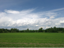 20220605 �������� � ����������� 120225.jpg