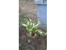 ��������������