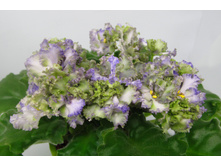 ��-��������� 2.jpg