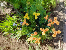 ����� ��������� �������.jpg