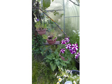 IMG 20220617 195002.jpg