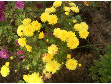 ����������