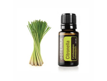 ���������� ������� ����� Cymbopogon Winterianus Essential Oil