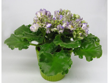 ��-��������� y.jpg