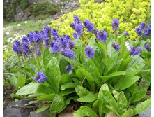 ��������� ����������.jpg