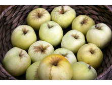 ��������� ������������ +22�