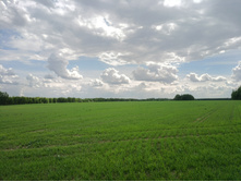 20220605 �������� � ����������� 120116.jpg