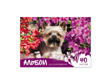 43365 ������ ��� ��������� �� ���� ErichKrause® ����� � ������, �4, 40 ������ ���� 94,8+% � ������� 4 ��.jpg