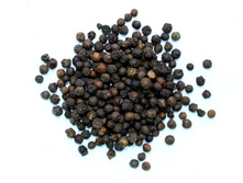 ����� ������ �������